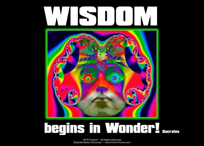 0203 WISDOM begins in Wonder... FREE Printable Mini-poster