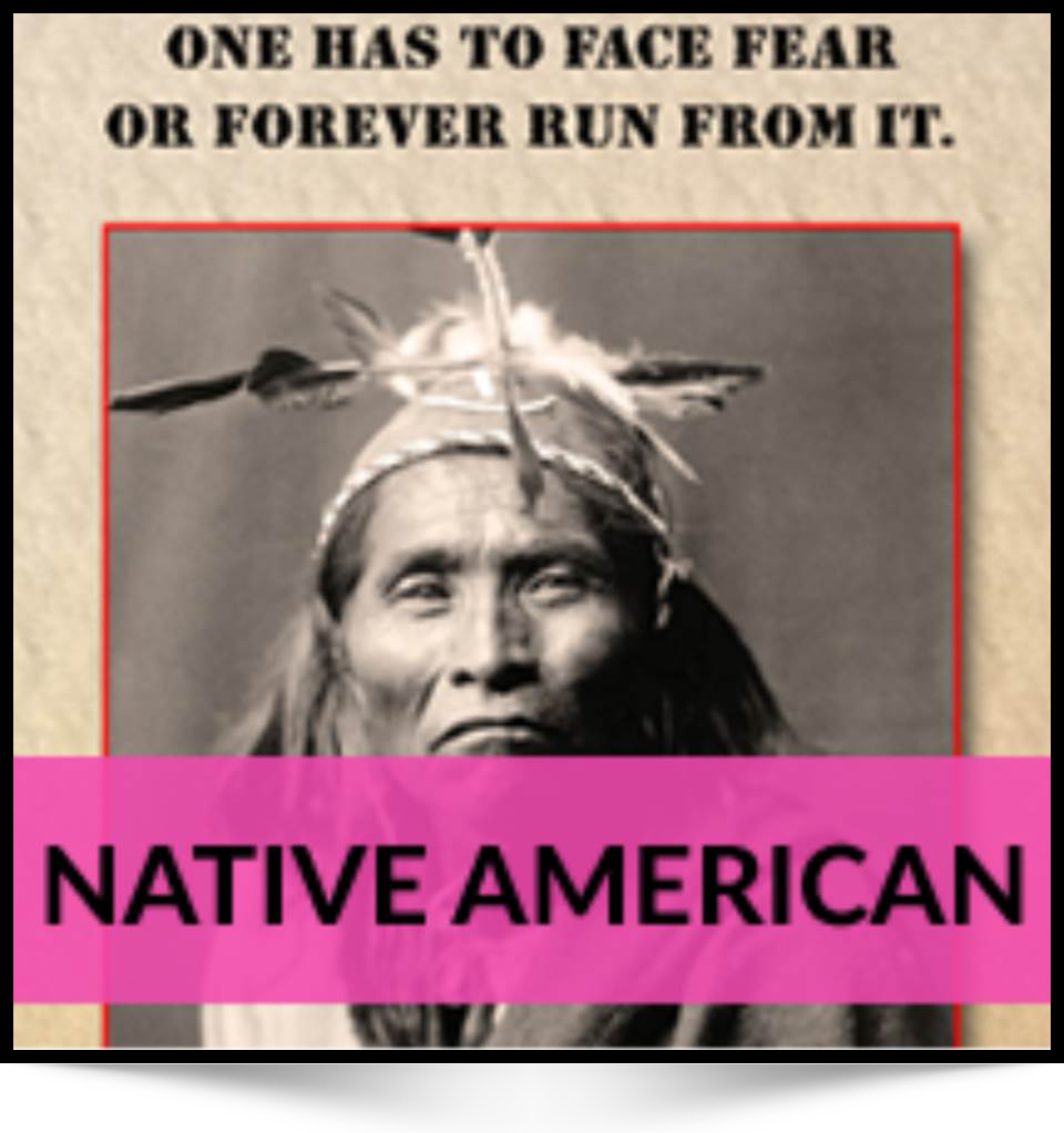 Native American Insights Poster Gallery