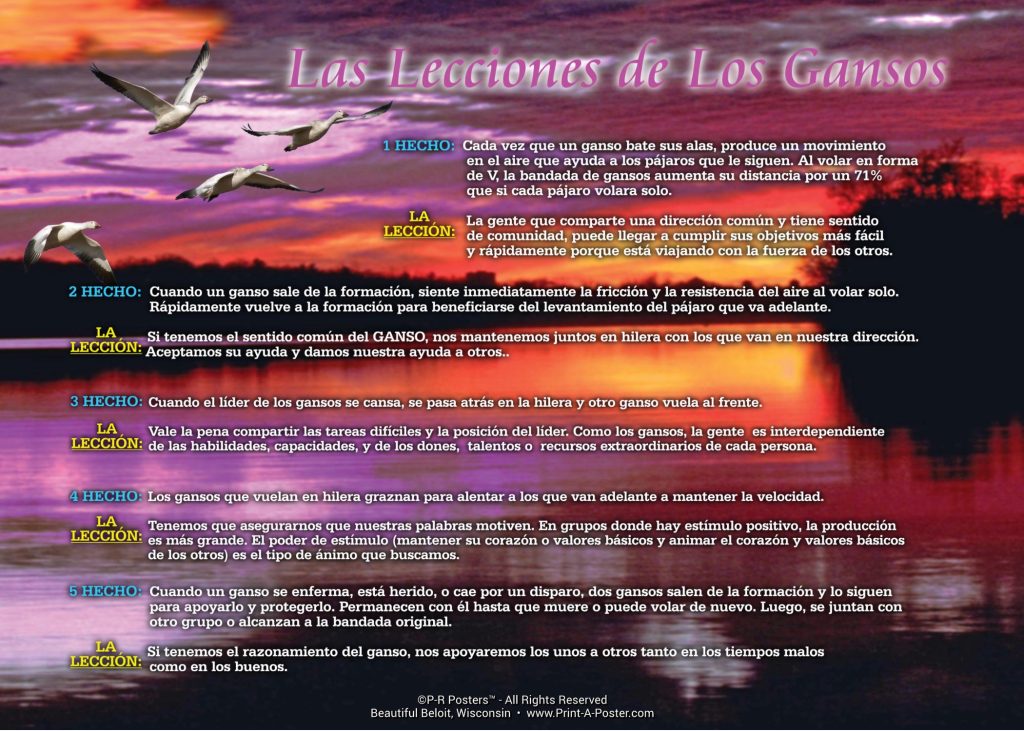 0114s Las Lecciones de los Gansos... FREE Printable Mini-poster