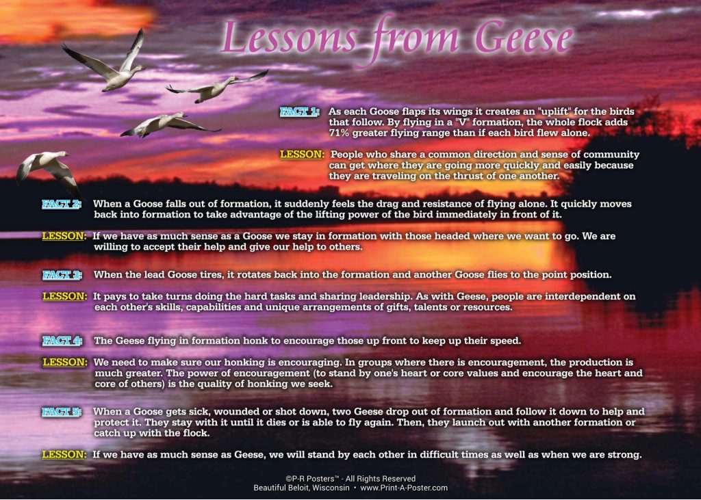 0114 Lessons from Geese... FREE Printable Mini-poster