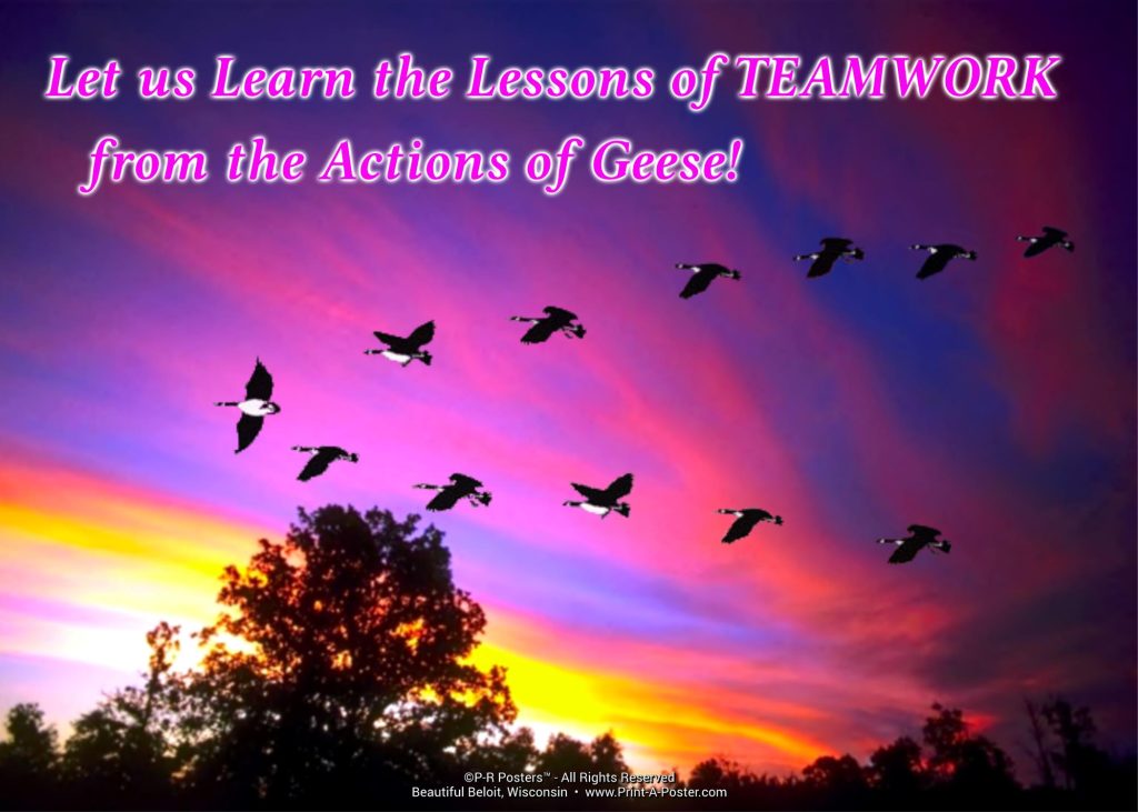 0115 Let us Learn the Lessons of TEAMWORK... FREE Printable Mini-poster