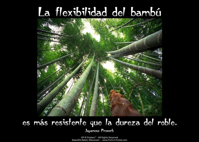 0329s La flexibilidad del bambú... FREE Printable Mini-poster