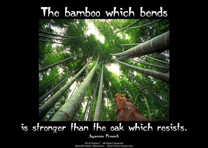 0329 The Bamboo which bends... FREE Printable Mini-poster